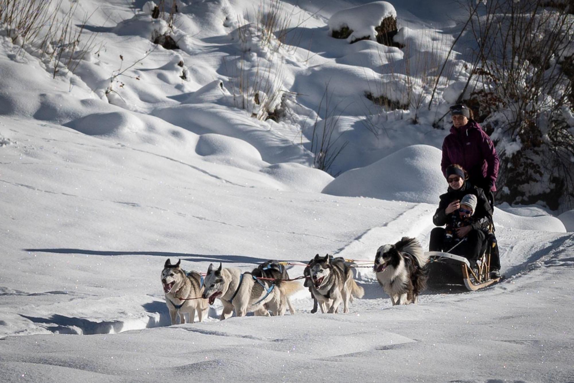 Huettenhotel Husky Lodge Muotathal Exteriör bild