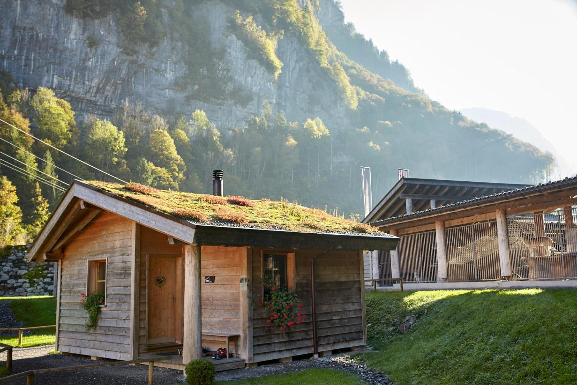 Huettenhotel Husky Lodge Muotathal Exteriör bild