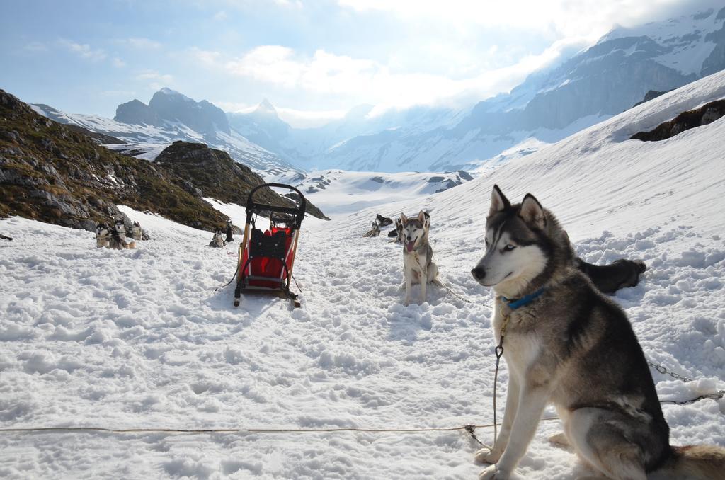 Huettenhotel Husky Lodge Muotathal Exteriör bild