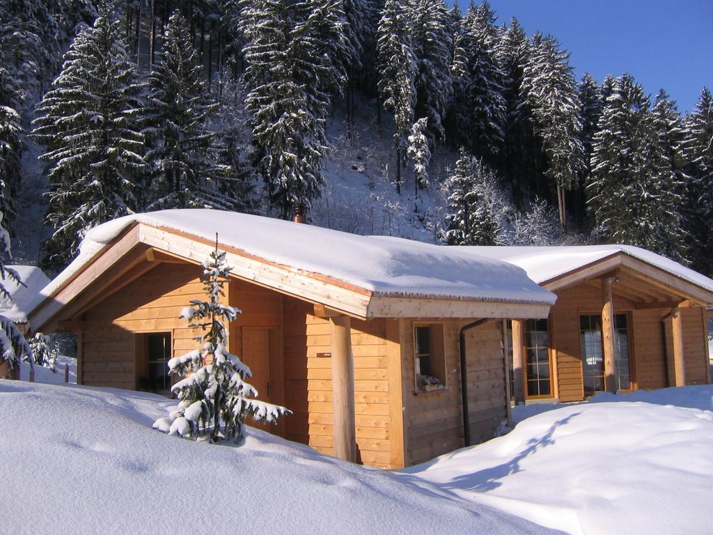 Huettenhotel Husky Lodge Muotathal Rum bild